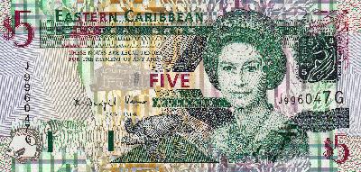 Beschrijving voorzijde: TURTLE